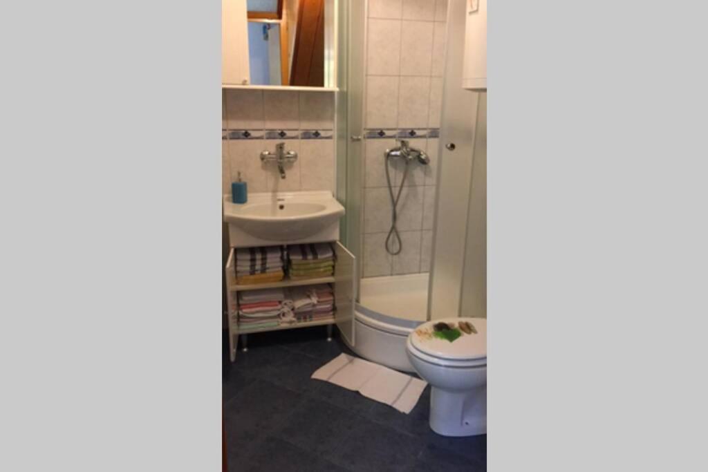 Apartman Knezovic 斯塔里格勒 外观 照片